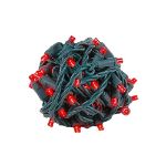 *NEW* TrueTwinkle® LED Christmas Lights 50 LED Red 25' Long Green Wire