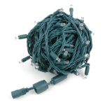 100 RGB + Warm White LED 4" Spacing Green Wire Coaxial w/o Power Supply & Remote