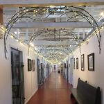 Commercial Grade Wide Angle 50 LED Warm White 25' Long on Black Wire