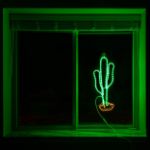 29" Cactus LED Rope Light Motif