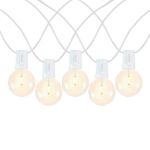 25 LED Filament G40 Globe String Light Set with Warm White Bulbs on White Wire