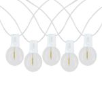 25 LED Filament G40 Globe String Light Set with Warm White Bulbs on White Wire