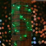 Commercial Grade Wide Angle 70 LED Green 35.5' Long on Green Wire