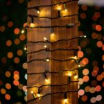 Commercial Grade Wide Angle 50 LED Warm White 25' Long on Black Wire