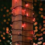 Commercial Grade Wide Angle 50 LED Red 25' Long on Black Wire