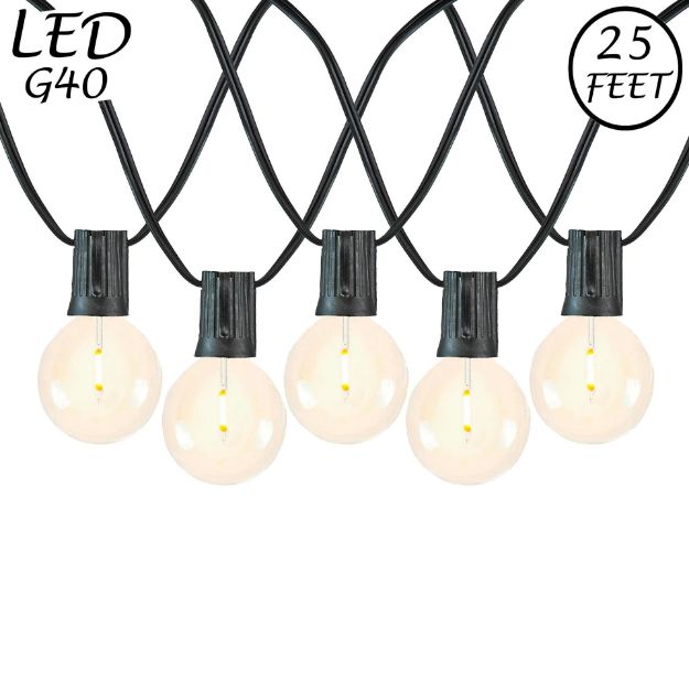 25 LED Filament G40 Globe String Light Set with Warm White Bulbs on Black Wire