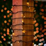 50 LED Warm White LED Christmas Lights 11' Long on Black Wire