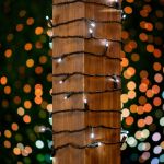50 LED Pure White LED Christmas Lights 11' Long on Black Wire