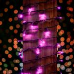 50 LED Pink LED Christmas Lights 11' Long on Black Wire