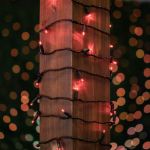 Commercial Grade Wide Angle 100 LED Red 34' Long Black Wire