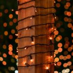 Commercial Grade Wide Angle 100 LED Orange 34' Long Black Wire