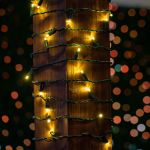 Commercial Grade Wide Angle 100 LED Warm White 34' Long on Green Wire