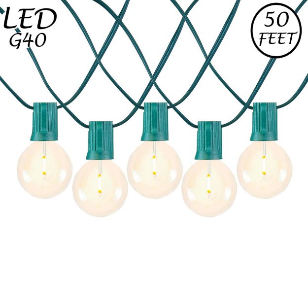 50 LED Filament G40 Globe String Light Set with Warm White Bulbs on Green Wire