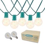 25 LED Filament G40 Globe String Light Set with Warm White Bulbs on Green Wire