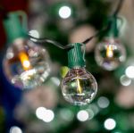 67 LED Filament G40 Globe String Light Set with Warm White Bulbs on Green Wire