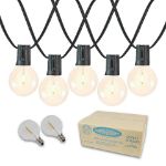 25 LED Filament G50 Globe String Light Set with Warm White Bulbs on Black Wire