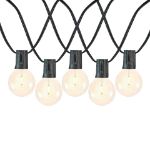25 LED Filament G50 Globe String Light Set with Warm White Bulbs on Black Wire