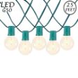 25 LED Filament G50 Globe String Light Set with Warm White Bulbs on Green Wire