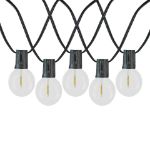 67 LED Filament G50 Globe String Light Set with Warm White Bulbs on Black Wire