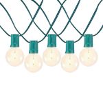 67 LED Filament G50 Globe String Light Set with Warm White Bulbs on Green Wire
