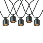 10 Can Lamp Shade LED Filament G40 Globe String Light Set with Warm White Bulbs