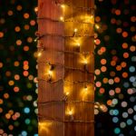Commercial Grade Wide Angle 50 LED Warm White 25' Long on Brown Wire