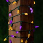 Yellow and Purple 70 LED C6 Strawberry Mini Lights Commercial Grade Green Wire
