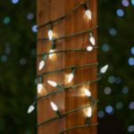 Pure White 70 LED C6 Strawberry Mini Lights Commercial Grade on Green Wire