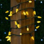Yellow 70 LED C6 Strawberry Mini Lights Commercial Grade on Green Wire