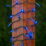 35 Light Traditional T5 Blue LED Mini Lights Green Wire