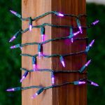 35 Light Traditional T5 Purple LED Mini Lights Green Wire