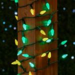 Green and Yellow 70 LED C6 Strawberry Mini Lights Commercial Grade Green Wire