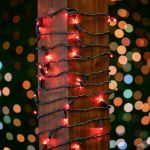 Commercial Grade Wide Angle 100 LED Red 34' Long on Green Wire