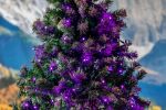 50 LED Purple LED Christmas Lights 11' Long on Green Wire