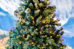 Commercial Grade Wide Angle 50 LED Yellow 25' Long on Green Wire