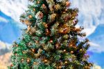 Commercial Grade Wide Angle 50 LED Amber 25' Long on Green Wire