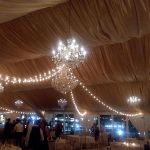 25 G50 Globe Light String Set with Clear Bulbs on White Wire