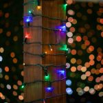 Commercial Grade Wide Angle 70 LED Multi Color 24' Long on Green Wire