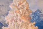 50 LED Amber LED Christmas Lights 11' Long on White Wire 