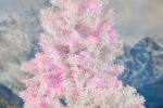 Commercial Grade Wide Angle 50 LED Pink 25' Long White Wire