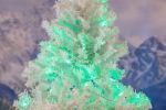 Commercial Grade Wide Angle 50 LED Green 25' Long on White Wire
