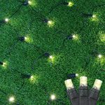 Warm White LED Net Lights 4x6 Black Wire