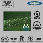 Warm White LED Net Lights 2x10 Green Wire