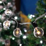 100 G40 Globe String Light Set with Clear Bulbs on Black Wire
