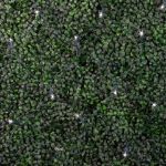 Pure White LED Net Lights 4x6 Green Wire