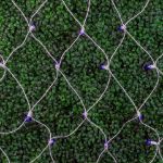Purple LED Net Lights, White Wire 4x6