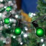 25 G40 Globe String Light Set with Green Satin Bulbs on Black Wire