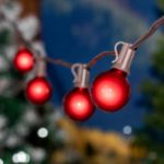 25 G40 Globe String Light Set with Red Satin Bulbs on Brown Wire