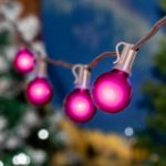 100 G40 Globe String Light Set with Pink Bulbs on Brown Wire