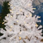 Warm White 70 LED C6 Strawberry Mini Lights Commercial Grade on White Wire